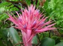 Fotky: chmea (foto, obrazky)