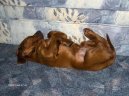 Ps plemena:  > Irsk setr (Irish Red Setter)