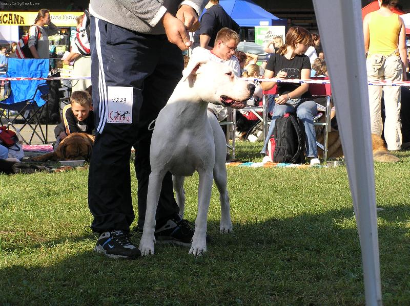 Foto: Jacinta- CHS Blansky les-NVP Brno