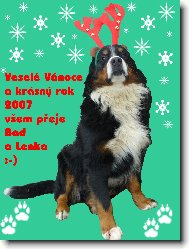 Vesel Vnoce