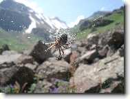 Aragats 2007