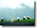 Ninh Hoa - Ninh H?a