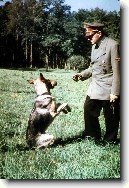 Adolf Hitler