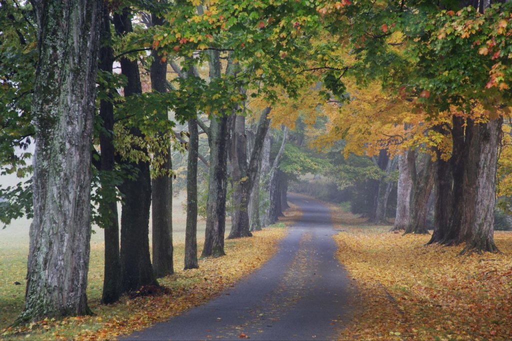 Foto: Journey Into Fall, Louisville, Kentucky