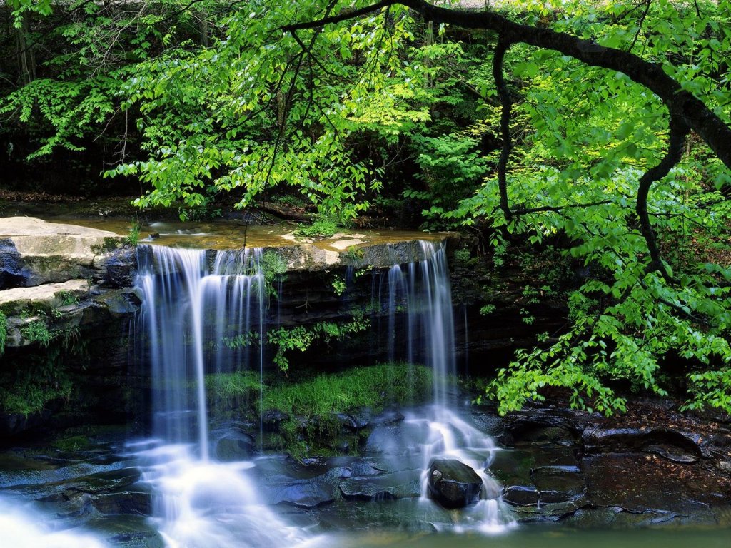 Foto: New River Gorge National River, West Virgina