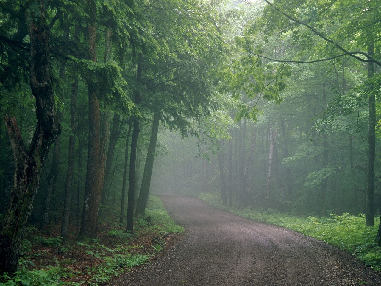 Foto: Summer Travels, Door Bluff County Park, Wisconsin