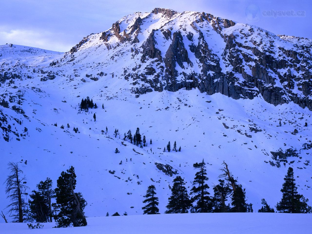 Foto: Snow Covered, Sequoia National Park, California