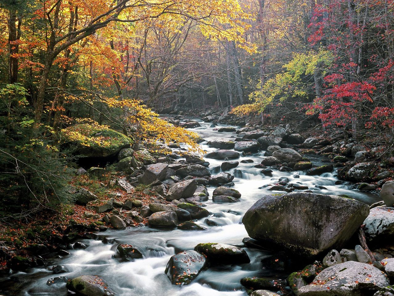 Foto: Little River, Tremont, Great Smoky Mountains National Park, Tennessee