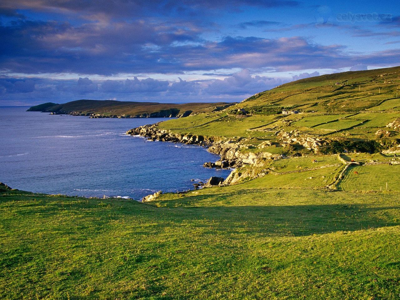 Foto: Crow Head, Dursey Sound, Ireland