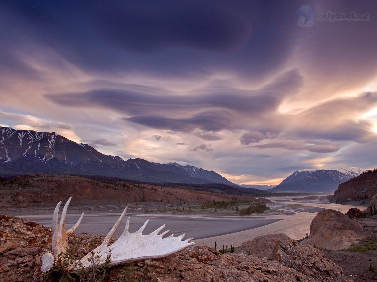 Foto: Moose Antler, Alsek River, Yukon, Canada