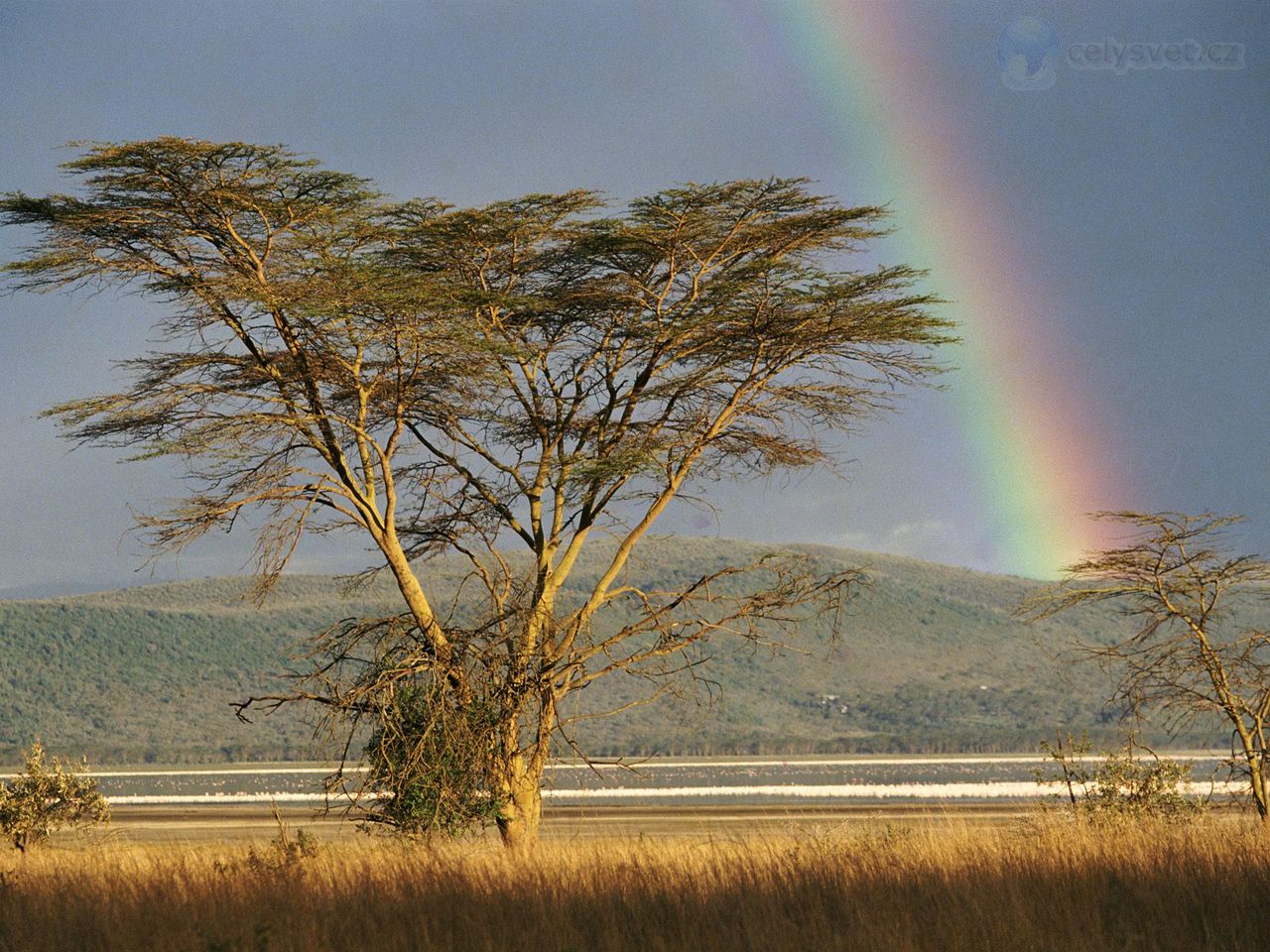 Foto: Rainbow Over The Savannah, Lake Nakuru National Park, Kenya