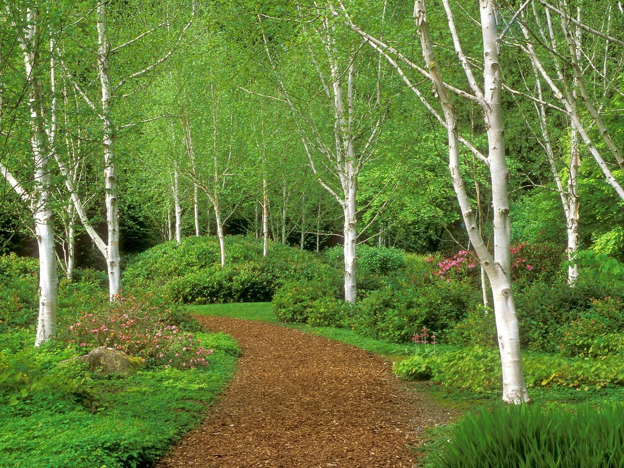 Foto: Garden Path, Bloedel Reserve, Bainbridge Island, Washington