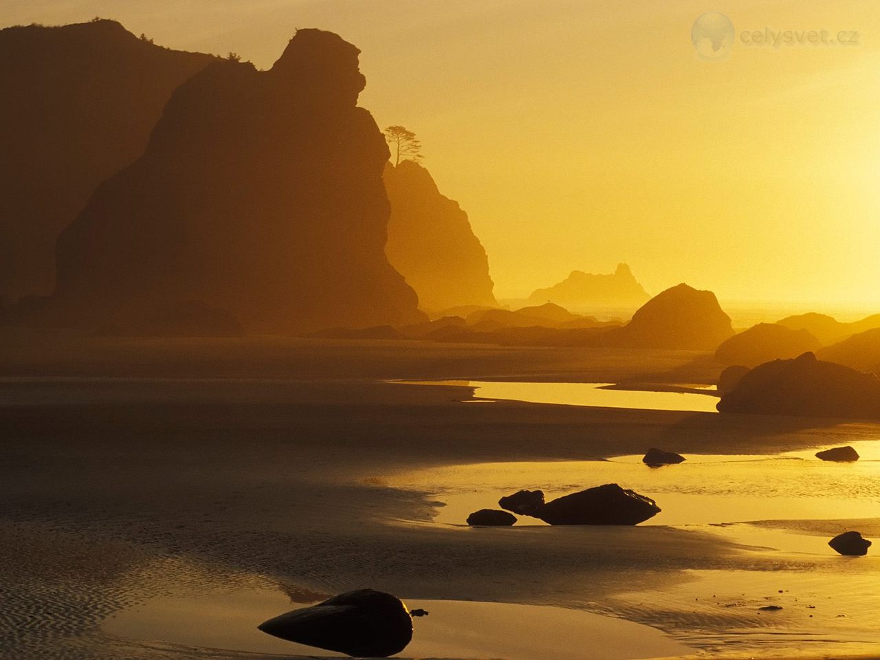 Foto: Shi Shi Beach Reflection, Olympic National Park, Washington