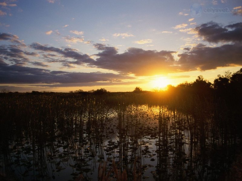 Foto: Loxahatchee National Wildlife Refuge, Florida