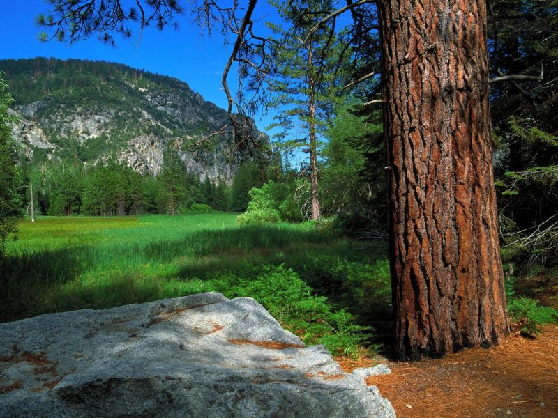 Foto: Zumwalt Meadow Trail, Sequoia And Kings Canyon National Parks, California