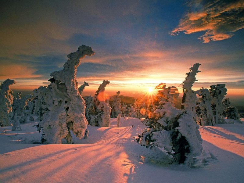 Foto: Snow Covered Trees, Hochharz National Park, Saxony Anhalt, Germany