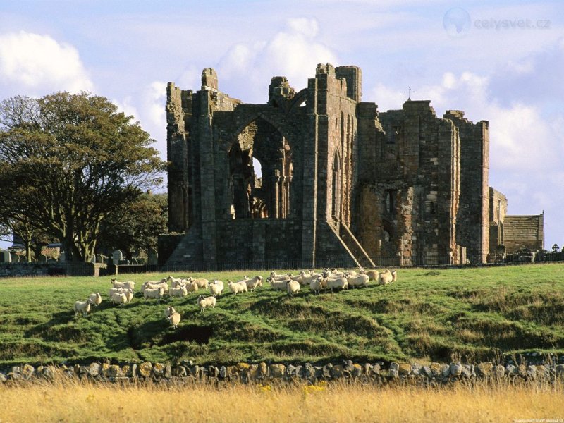 Foto: Berwick Upon Tweed, Northumberland, England