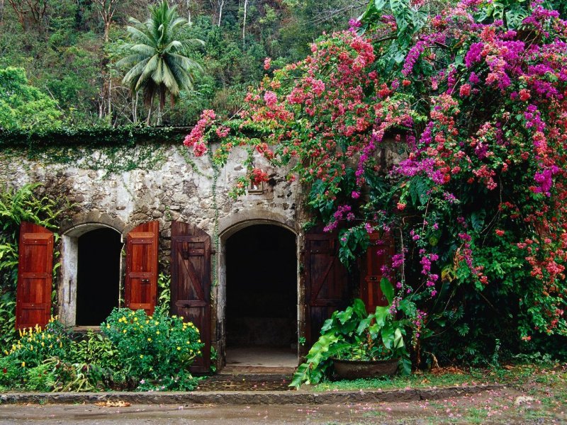 Foto: La Sikwi Sugar Mill, Anse La Raye, St Lucia